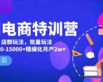 美团电商特训营:美团·店群玩法,无脑铺货月产出6000-15000+精细化月产2w+-聚富社