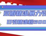 豆瓣精准暴力引流,日引精准粉500+【12课时】-聚富社