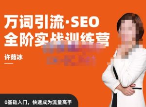 许茹冰·万词引流-SEO全阶实战训练营,0基础入门,快速成为流量高手-聚富社
