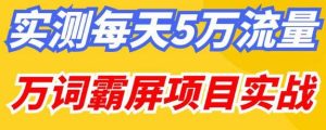 百度万词霸屏实操项目引流课,30天霸屏10万关键词-聚富社