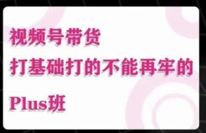 大播汇·视频号带货Puls班,视频号底层逻辑,起号自然流鱼塘等玩法-聚富社