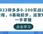 2023拼多多0-100实战运营教程,0基础起步,运营知识一手掌握-聚富社