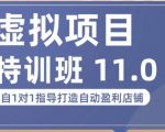 陆明明·虚拟项目特训班(10.0+11.0),0成本获取虚拟素材,0基础打造自动盈利店铺-聚富社