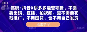 高鹏·抖音X拼多多运营项目,不需要出镜、直播、拍视频,不需要花钱推广,不用囤货,不用自己发货-聚富社