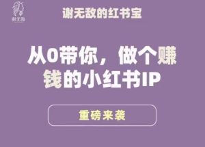 谢无敌·小红书运营大宝典,从0带你做个赚钱的小红书IP-聚富社