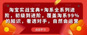 淘宝实战宝典+淘系全系列进阶,初级到进阶,覆盖淘系99%的知识,看透对手,自然会运营-聚富社
