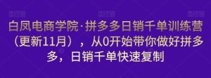 白凤电商学院·拼多多日销千单训练营,从0开始带你做好拼多多,日销千单快速复制(更新知2023年3月)-聚富社