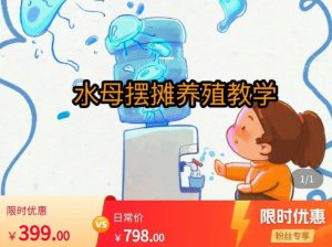 水母摆摊教学,包括摆摊技术、养殖技术、拿货渠道、抖音运营等-聚富社