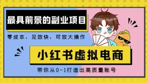 小红书蓝海大市场虚拟电商项目,手把手带你打造出日赚2000+高质量红薯账号-聚富社