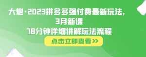 大炮·2023拼多多强付费最新玩法,3月新课78分钟详细讲解玩法流程-聚富社