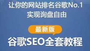 谷歌SEO实战教程:如何让你的网站在谷歌排名第一,内容从入门到高阶,适合个人及团队-聚富社