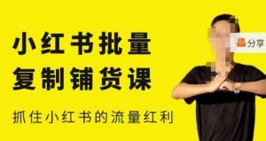 张宾·小红书批量复制铺货课,小红书0-1快速起号变现玩法,抓住小红书的流量红利(更新2023年3月)-聚富社