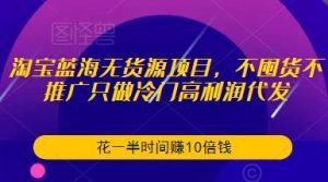 淘宝蓝海无货源项目,不囤货不推广只做冷门高利润代发,花一半时间赚10倍钱-聚富社