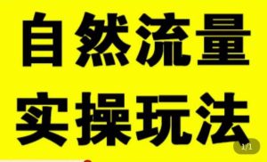 拼多多自然流量天花板,拼多多自然流的实操玩法,自然流量是怎么来的,如何开车带来自然流等知识-聚富社