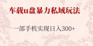 车载u盘暴力私域玩法,长期项目,仅需一部手机实现日入300+-聚富社