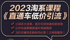 2023直通车低价引流玩法课程,小成本大流量,低价引流快速拉新收割,让你快速掌握直通车突破瓶颈-聚富社