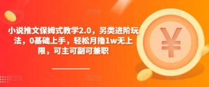 小说推文保姆式教学2.0，另类进阶玩法，0基础上手，轻松月撸1w无上限，可主可副可兼职-聚富社