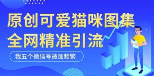 黑科技纯原创可爱猫咪图片,全网精准引流,实操5个VX号被加频繁-聚富社