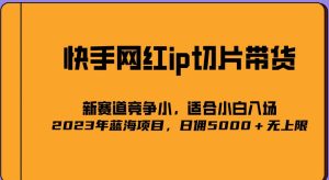 2023爆火的快手网红IP切片，号称日佣5000＋的蓝海项目，二驴的独家授权-聚富社