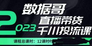 数据哥2023直播电商巨量千川付费投流实操课,快速掌握直播带货运营投放策略-聚富社