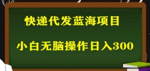 2023最新蓝海快递代发项目,小白零成本照抄也能日入300+-聚富社