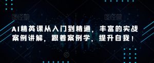 AI精英课从入门到精通,丰富的实战案例讲解,跟着案例学,提升自我!-聚富社