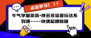牛气学堂茶茶•拼多多运营玩法系列课—-快速起爆秘籍【更新】-聚富社