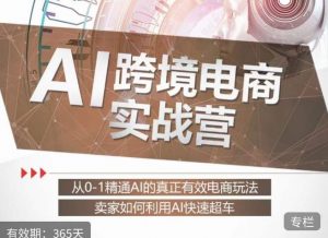 白龙老师·AI跨境电商实战营:从0-1精通Al的真正有效电商玩法,卖家如何利用Al快速超车-聚富社