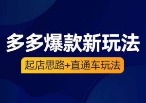 海神·多多爆款新玩法,起店思路+直通车玩法(3节精华课)-聚富社