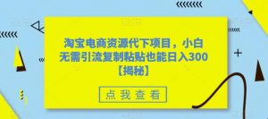 淘宝电商资源代下项目,小白无需引流复制粘贴也能日入300+【揭秘】-聚富社