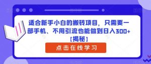 适合新手小白的搬砖项目,只需要一部手机、不用引流也能做到日入300+【揭秘】-聚富社