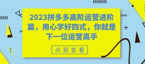 2023拼多多高阶运营进阶篇,用心学好四式,你就是下一位运营高手-聚富社