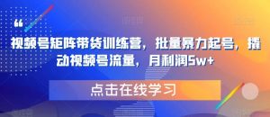 视频号矩阵带货训练营,批量暴力起号,撬动视频号流量,月利润5w+-聚富社