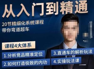 龙一·从入门到精通拼多多运营系列课,0-100的运营实操技巧,精细化系列课程带你弯道超车-聚富社