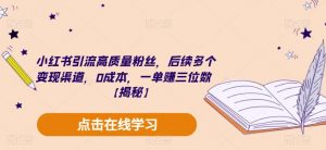 小红书引流高质量粉丝,后续多个变现渠道,0成本,一单赚三位数【揭秘】-聚富社