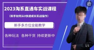 2023淘系直通车保姆式运营讲解,新手如何从0快速成长实战操作,新手多方位全能教学-聚富社