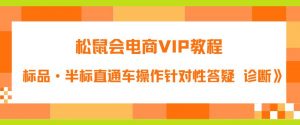 松鼠会电商VIP教程:松鼠《付费推广标品·半标直通车操作针对性答疑&诊断》-聚富社