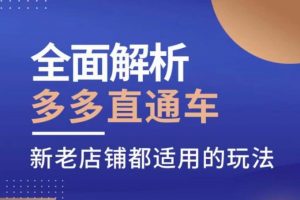 全面解析多多直通车,新老店铺都适用的玩法-聚富社