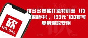 拼多多爆款打造特训营(持续更新中),199元*100套可复制爆款案例-聚富社