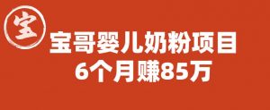 宝哥婴儿奶粉项目,6个月赚85w【图文非视频】【揭秘】-聚富社