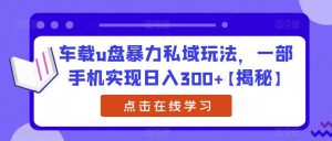 车载u盘暴力私域玩法,一部手机实现日入300+【揭秘】-聚富社