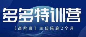 纪主任·5月最新多多特训营高阶班,玩法落地实操,多多全掌握-聚富社