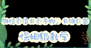 微信互推圈半自动引流方案,矩阵操作日引千人思路【详细视频教程】-聚富社