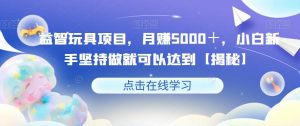 益智玩具项目,月赚5000+,小白新手坚持做就可以达到【揭秘】-聚富社