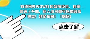 有道词典WOW社区蓝海项目,目前高速上升期,新人小白都可以换取高收益!赶紧布局!【揭秘】-聚富社