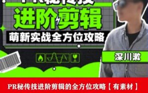 PR进阶剪辑培训班,让你快速成为剪辑大师12节视频课程+素材!-聚富社