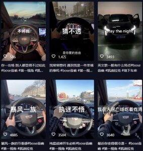 抖音开车视频项目,0基础操作,每天五分钟,月入1W+【揭秘】-聚富社