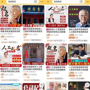 拆解小红书宝宝起名虚拟副业项目,一条龙实操玩法分享给你(教程+软件)-聚富社