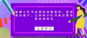 破解小红书运营的流量密码,揽获意向客户,让你的小红书高点赞多粉丝高转化-聚富社
