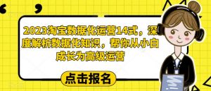 2023淘宝数据化运营14式,深度解析数据化知识,帮你从小白成长为高级运营-聚富社